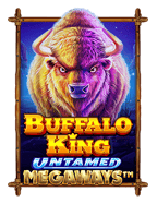 รีวิว wild water slot เกมสล็อตจาก Jili ที่ไม่ควรพลาด